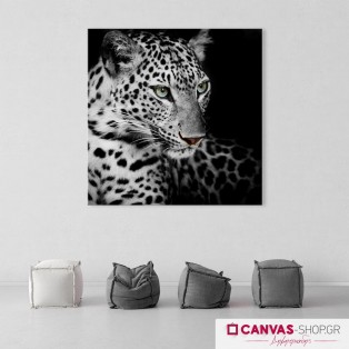 Λεοπάρδαλη, πίνακας σε καμβά