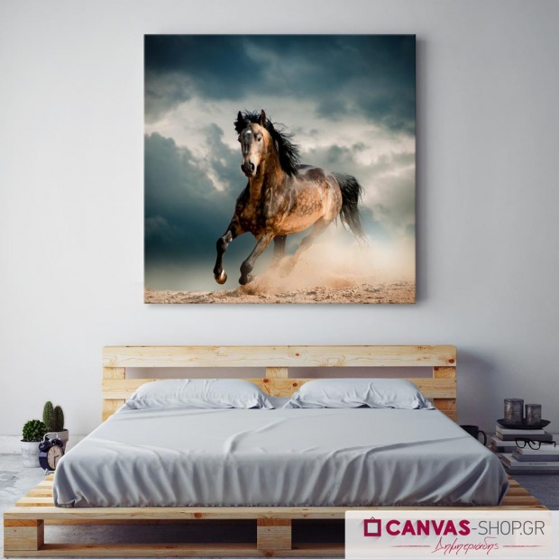 Άλογο, πίνακας σε καμβά